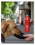 /environment/cache/images/300_300_productGfx_9bfa4d597b299249043eb19151b4effd.jpg